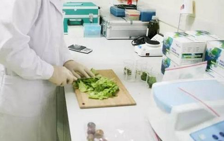 食品重金屬檢測儀，關(guān)注食品安全，防范重金屬危害